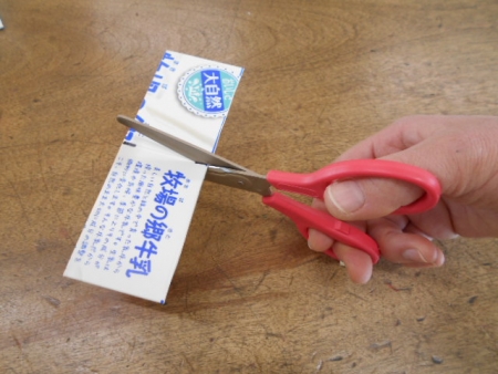 DSCN6251