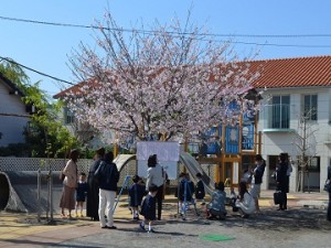 桜の木