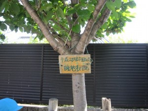 ②